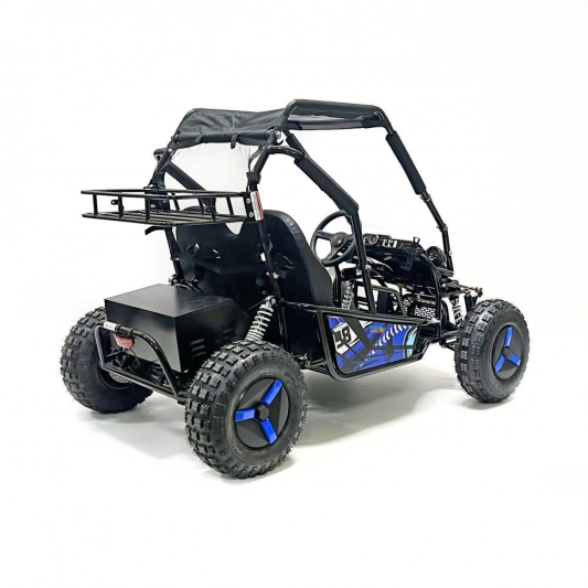 Багги GreenCamel Намиб T10 (60V 2000W R8 Дифф)