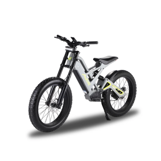 Электровелосипед Mukuta Knight