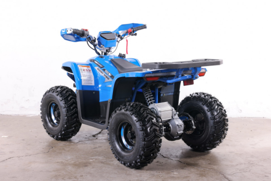 Квадроцикл GreenCamel Гоби K90 (48V 750W R7 Дифф) LUX Bluetooth 