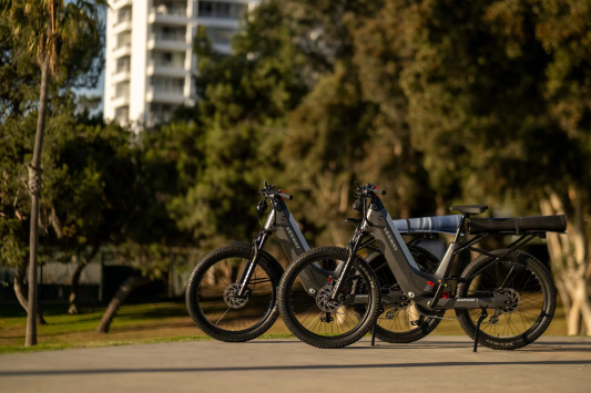 Электроскутер Ninebot Xafari