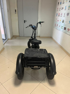 Электровелосипед трехколесный GT ZV-02 48V/20Ah