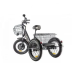 Трёхколёсный электровелосипед GREEN CITY e-ALFA Trike